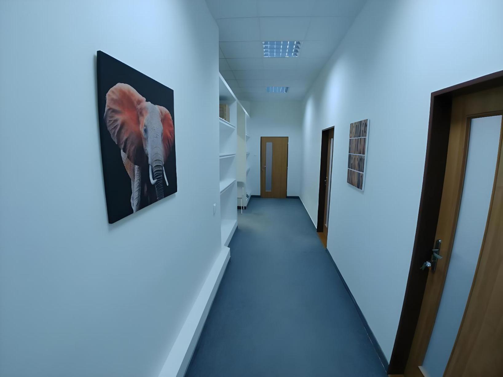 Rooms Veveri - Uvoz, 10 Min Peski Do Centru 布尔诺 外观 照片